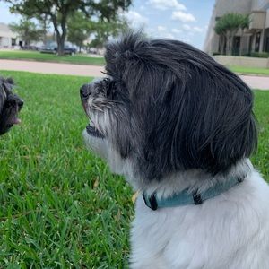 Meet your Posher, Sloane